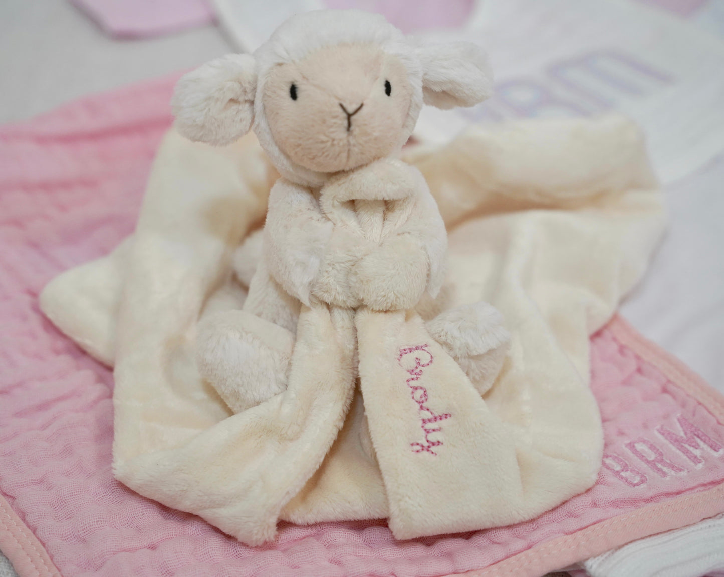 Plush Personalized Lovey